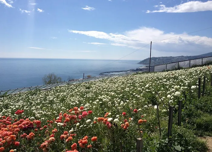 Pensionat Villa Mont Des Oliviers Citra-8055Lt-1805 E 1807