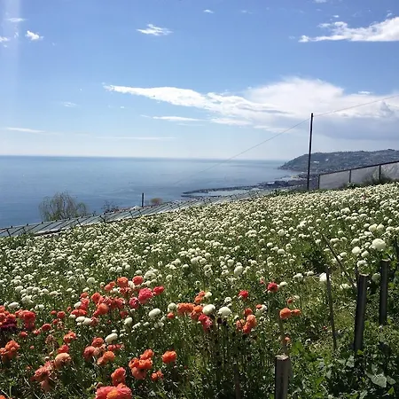 Guest house Villa Mont Des Oliviers Citra-8055Lt-1805 E 1807