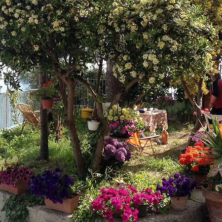 Villa Mont Des Oliviers Citra-8055Lt-1805 E 1807 Guest house 3*