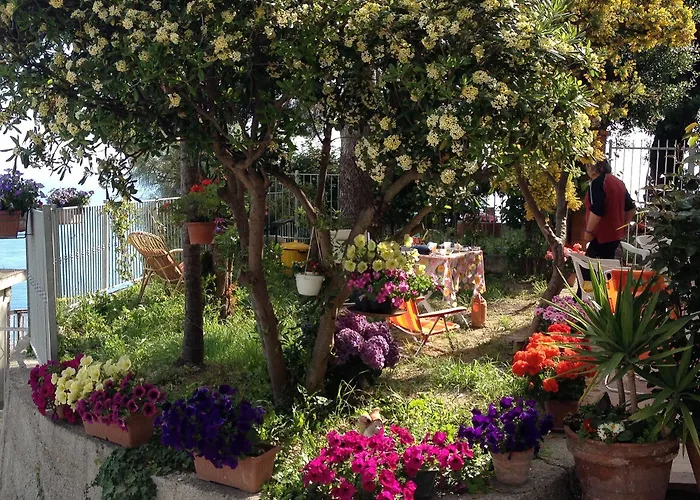 Villa Mont Des Oliviers Citra-8055Lt-1805 E 1807 Guest house 3*